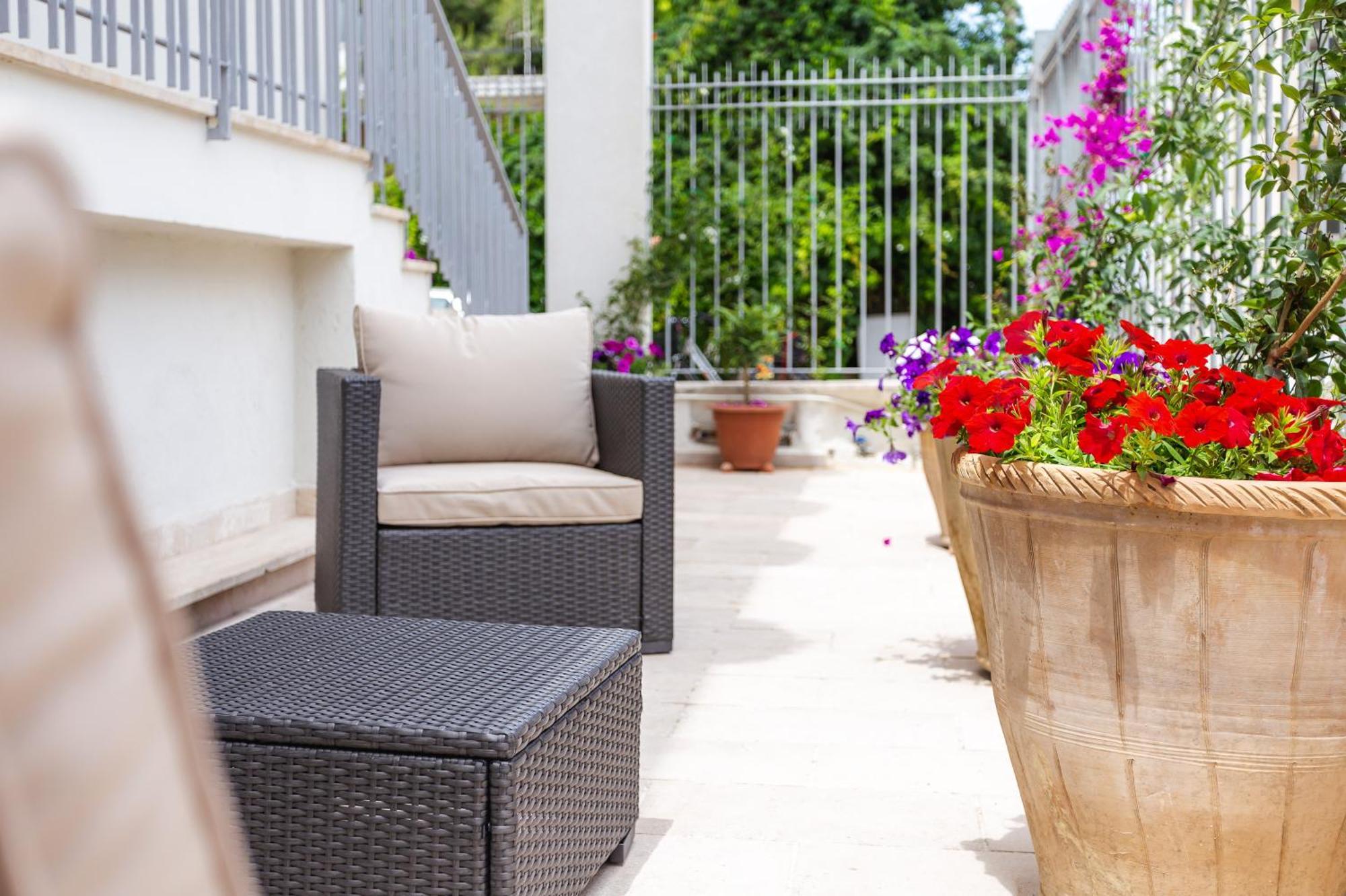 Appartement Oasis *